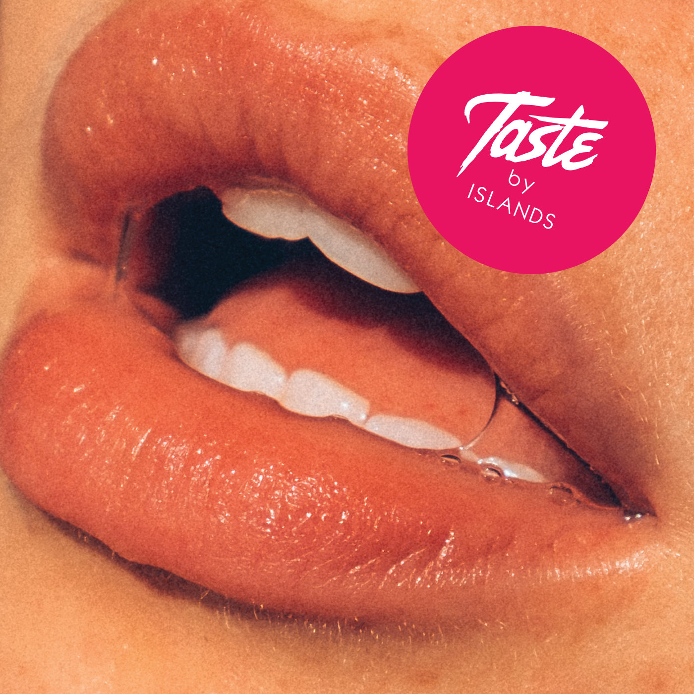 Islands | Taste - CD