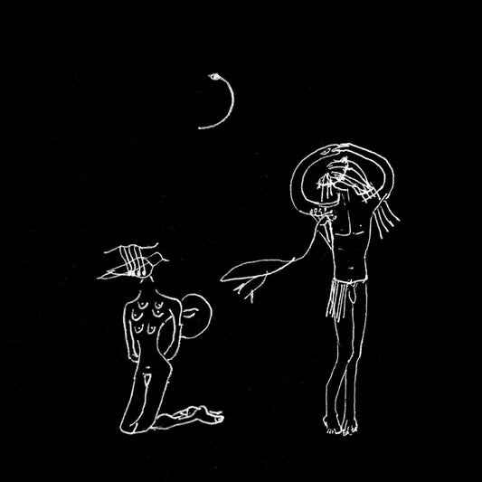 Isobel Campbell | Milkwhite Sheets - Vinyl