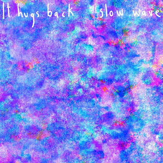 It Hugs Back | Slow Wave - CD