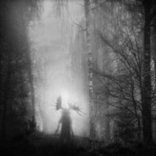 Iterum Nata | From the Infinite Light - CD