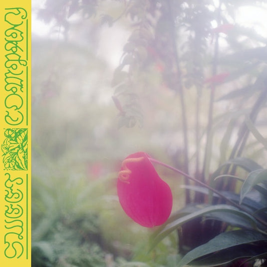 JABU | Sweet Company - CD