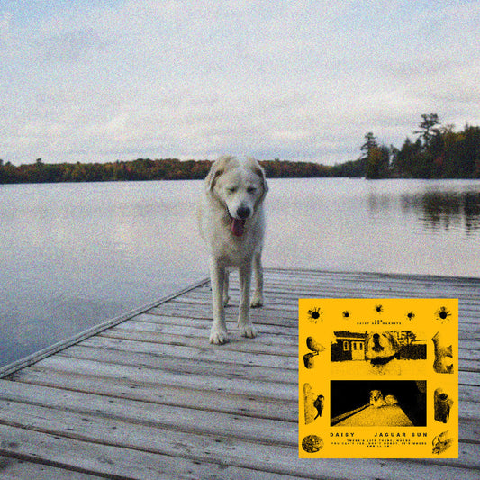 Jaguar Sun | Daisy (Black And Yellow Swirl Vinyl) - Vinyl