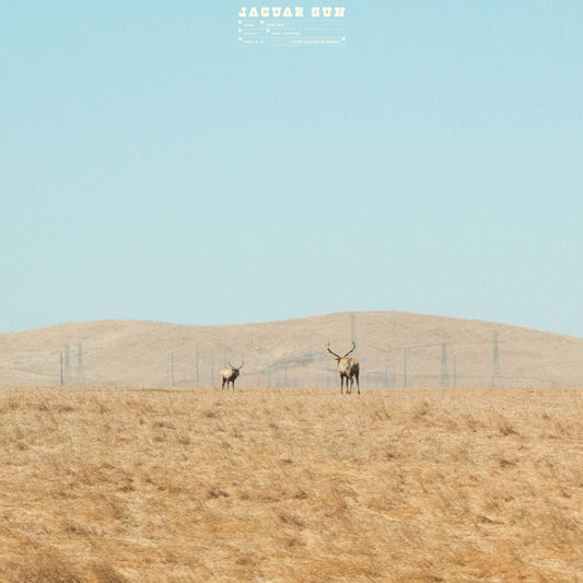 Jaguar Sun | For You (Blue And Black Swirl Vinyl) - Vinyl