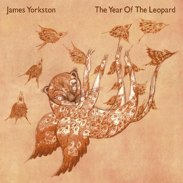 James Yorkston | The Year Of The Leopard - Vinyl