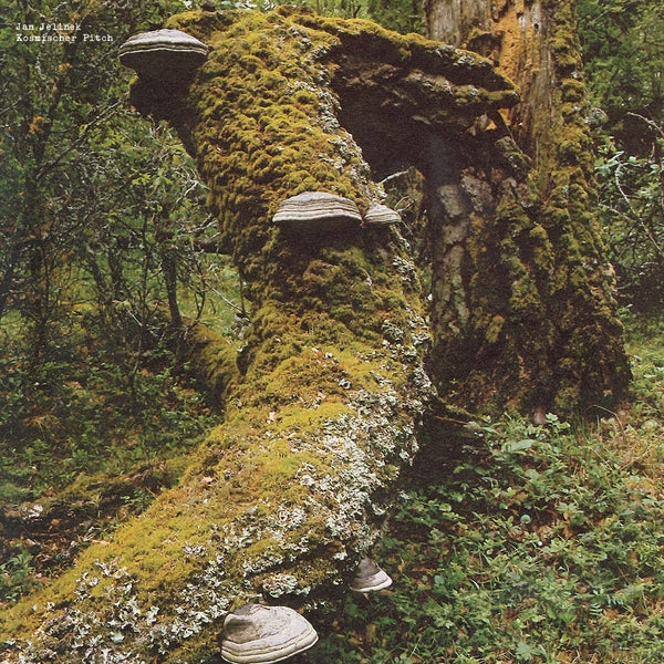 JAN JELINEK | Kosmischer Pitch - Vinyl