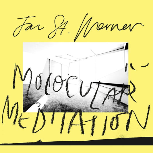 Jan St. Werner | Molocular Meditation - Vinyl