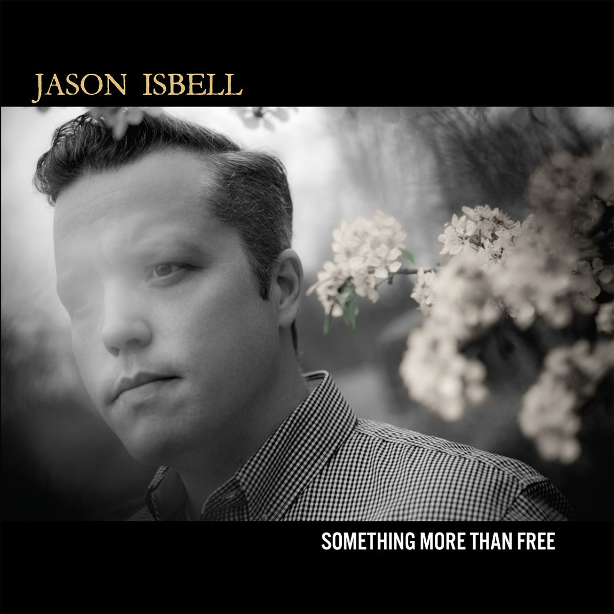 Jason Isbell | Something More Than Free (10 Year Anniversary Edition) (Indie Exclusive Denim Vinyl) [2LP] - Vinyl