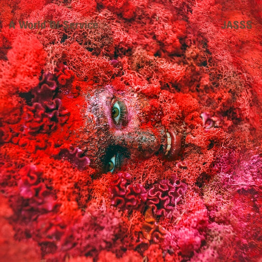 JASSS | A World Of Service - Vinyl