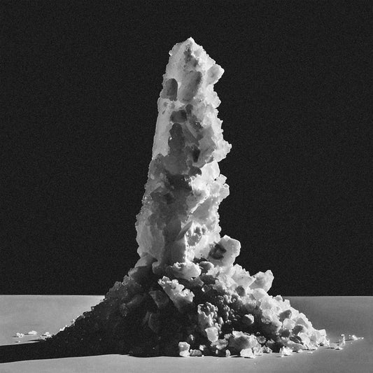 JIBOIA | Salar - Vinyl