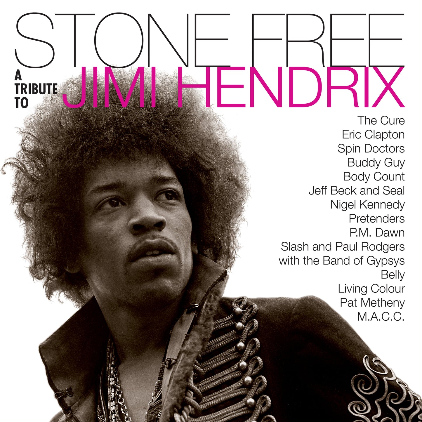 Jimmy Hendrix Tribute | Stone Free: Jimi Hendrix Tribute ( ROCKTOBER 2020 BRICK N MORTAR EXCLUSIVE) - Vinyl