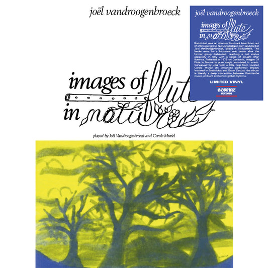 Joel Vandroogenbroeck | Images Of Flute In Nature - Vinyl