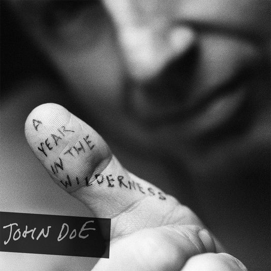 John Doe | A Year In The Wilderness - CD
