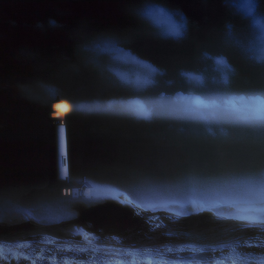 John Maus | We Must Become the Pitiless Censors of Ourselves - CD