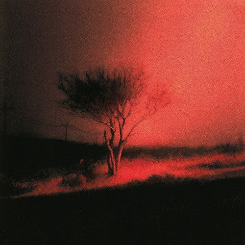 Joji | Piss In The Wind [Explicit Content] - CD