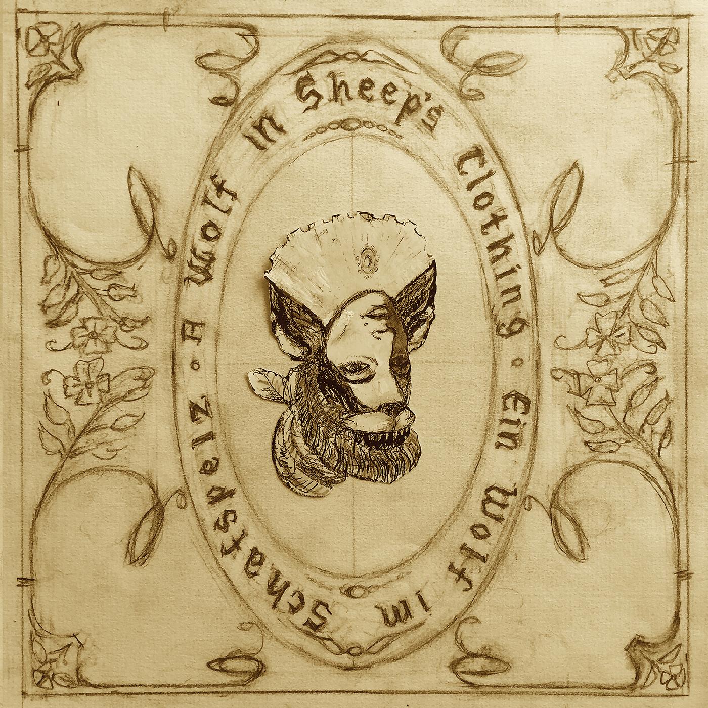 Josephine Foster | A Wolf in Sheeps Clothing - CD