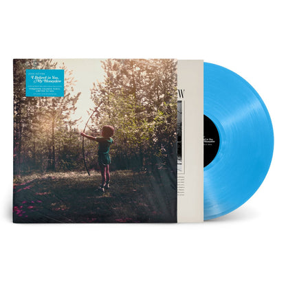 Josh Ritter | I Believe In You My Honeydew (Indie Exclusive) (Turquoise Vinyl) - Vinyl