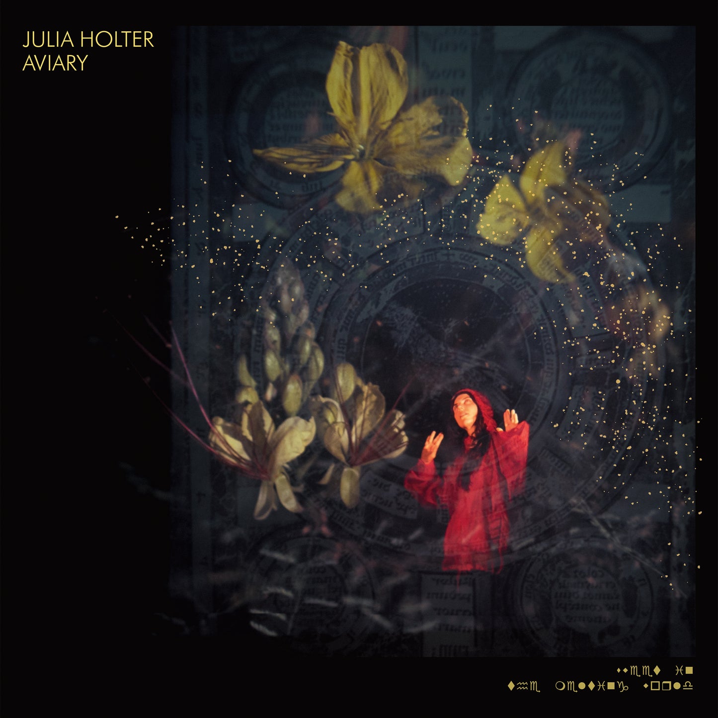 Julia Holter | Aviary - CD