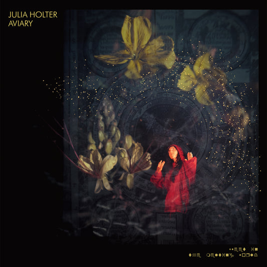 Julia Holter | Aviary - CD