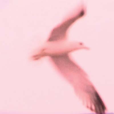 Julia Holter | Maria/2HB - Vinyl