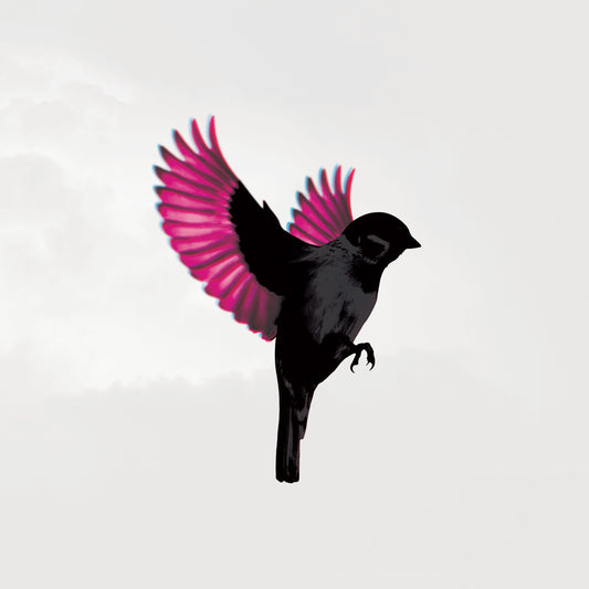 Jump Little Children | Sparrow - CD