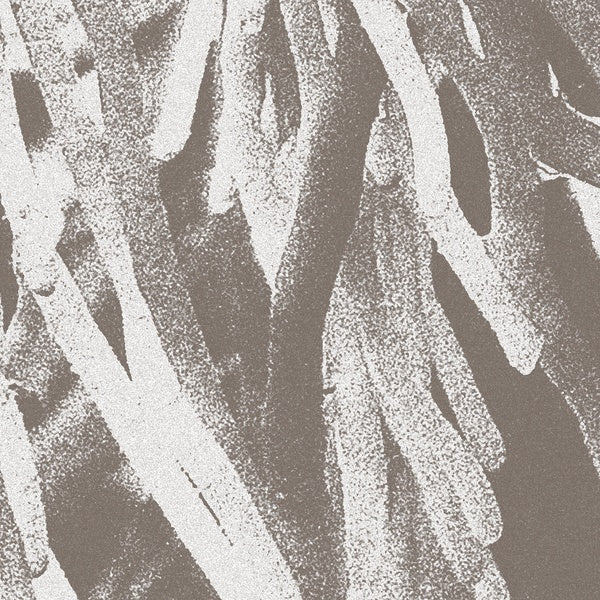 JW PATON | Structures - CD