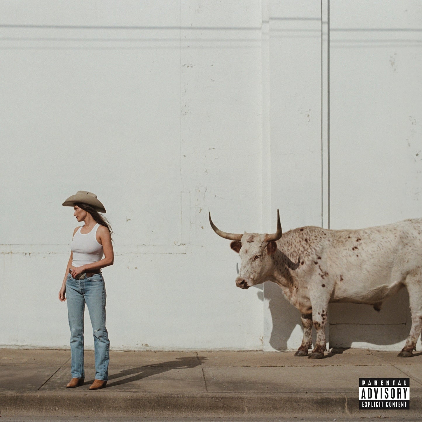 Kacey Musgraves | Middle Of Nowhere - CD