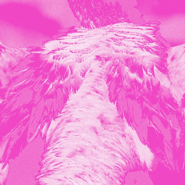 KATE CARR | A field guide to phantasmic birds - CD