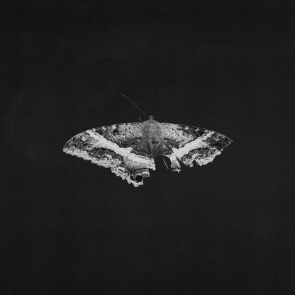 Kendrick Lamar | To Pimp A Butterfly (10 Year Anniversary Edition) - Alternate Artwork [180G 2 Lp] - Vinyl