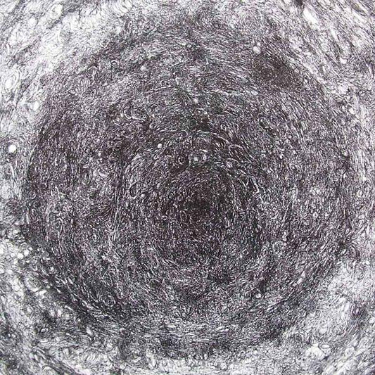 Kevin Drumm | The Back Room - Vinyl