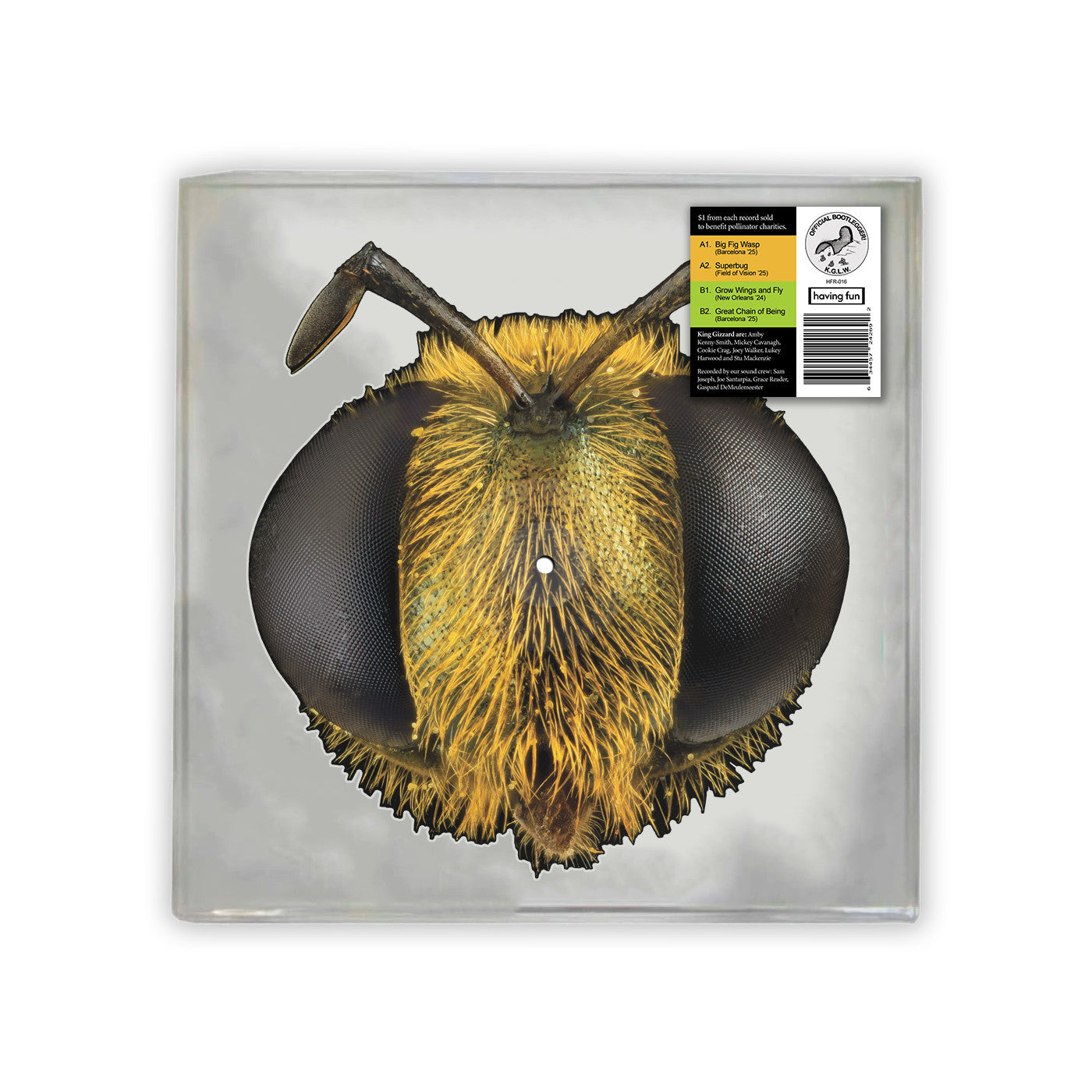 King Gizzard & The Lizard Wizard Big Fig Wasp (Bee/Bug Shaped Vinyl)