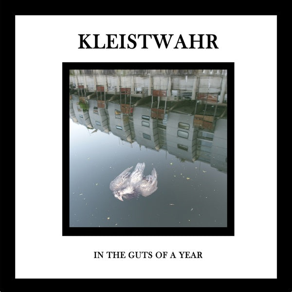 KLEISTWAHR | In the Guts of a Year - CD