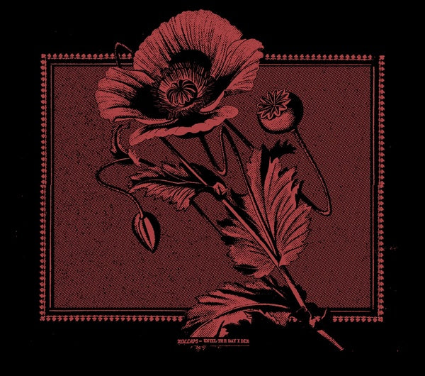 KOLLAPS | Until The Day I Die - CD