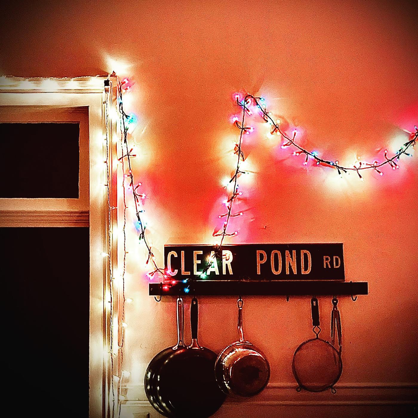 Kristin Hersh | Clear Pond Road (CLEAR VINYL) - Vinyl