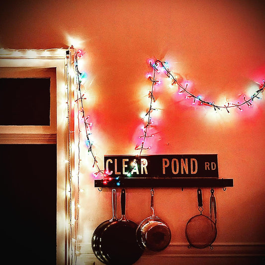 Kristin Hersh | Clear Pond Road - CD