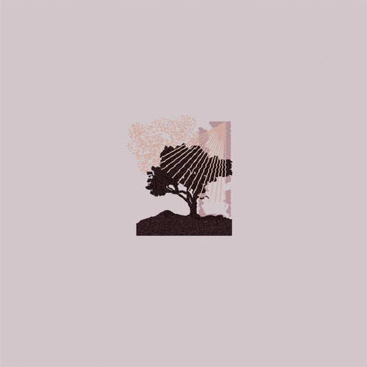 Land of Talk | Performances - CD