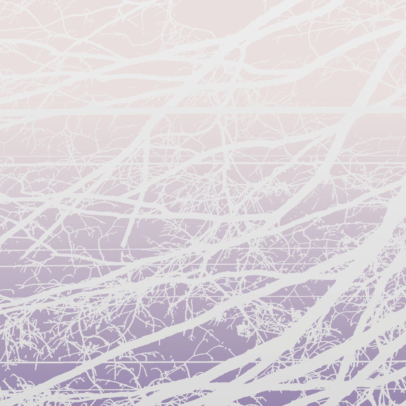 Lea Bertucci | Metal Aether / Resonant Field - Vinyl