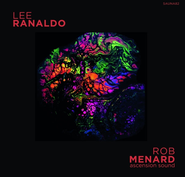 LEE RANALDO/ROB MENARD | Lee Ranaldo/Rob Menard Split Release - Cassette