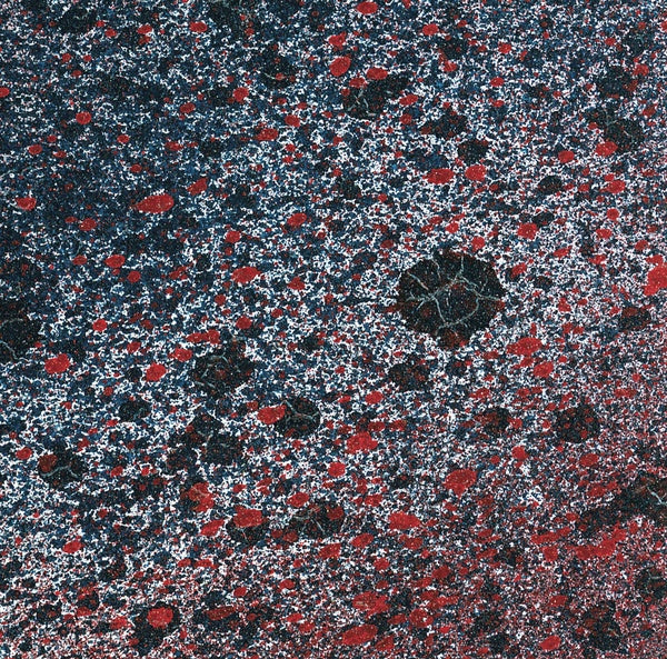 LEITMOTIV LIMBO | Superior State - Vinyl