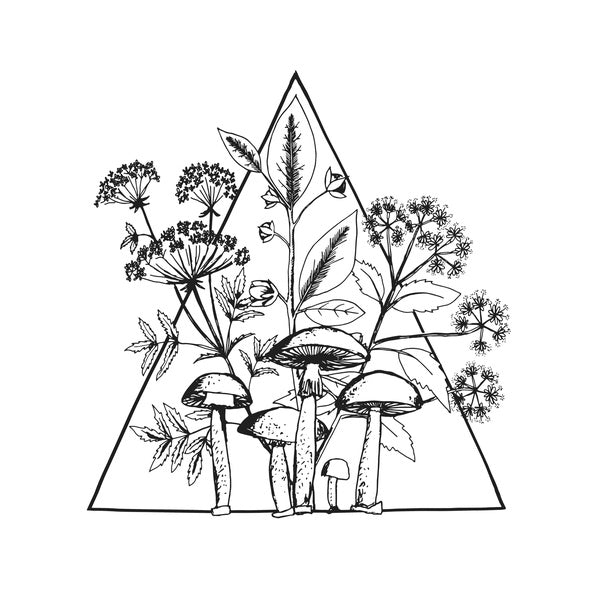 LES CONVERSIONS | Cassette - Vinyl