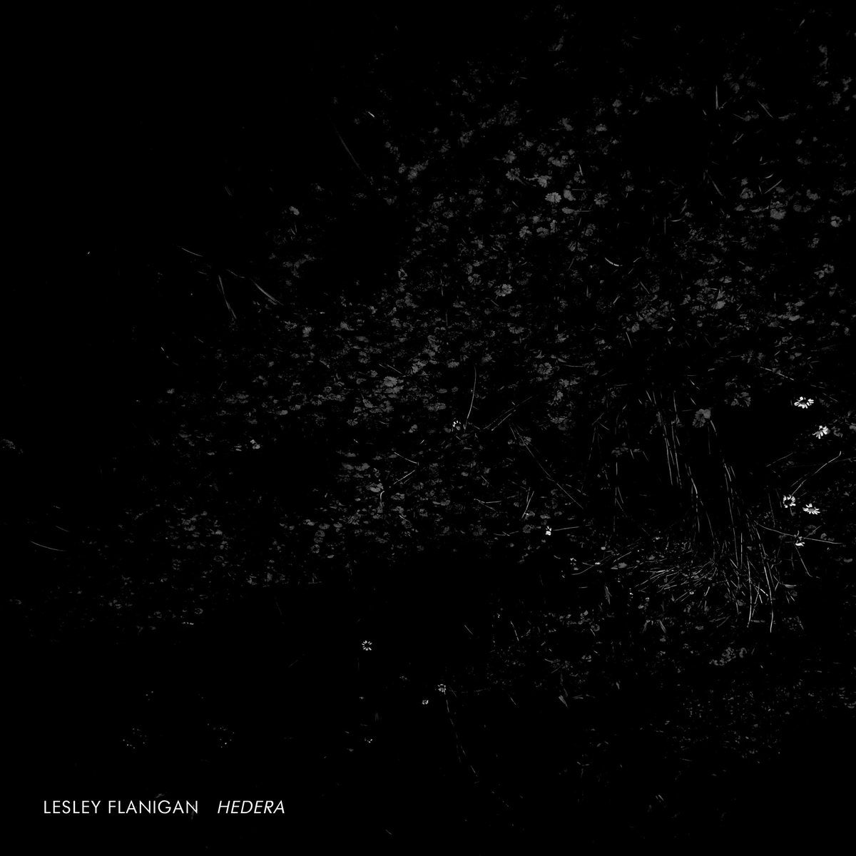 Lesley Flanigan | Hedera - CD
