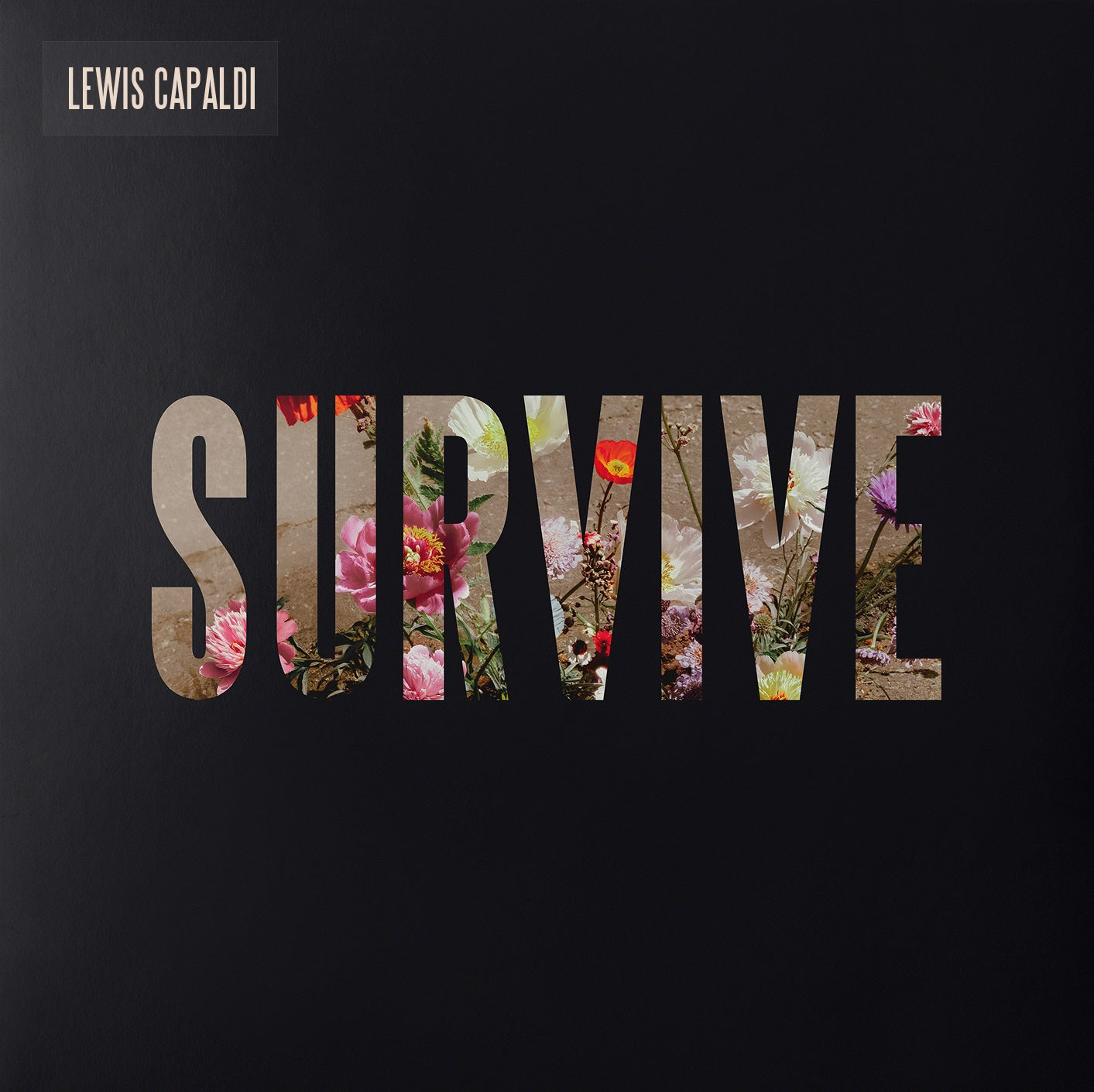 Lewis Capaldi | Survive [Clear 12" EP] - Vinyl
