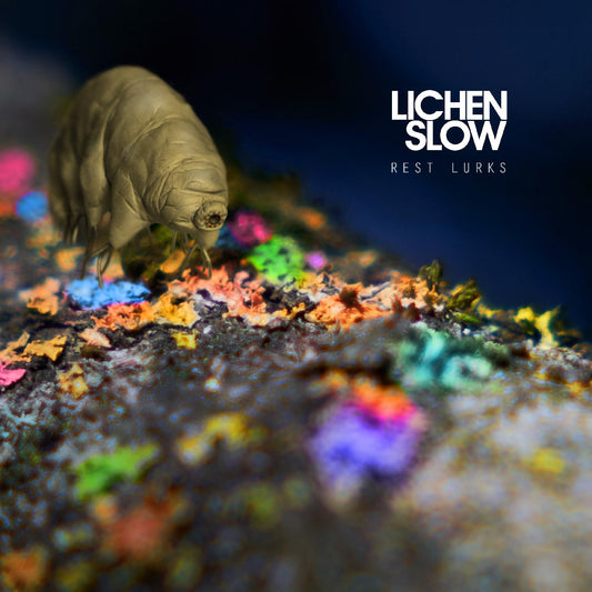 Lichen Slow | Rest Lurks (ORANGE VINYL) - Vinyl