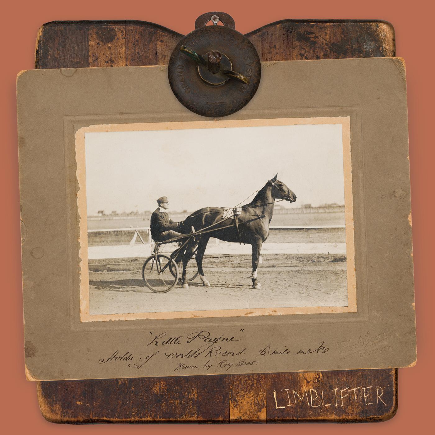 Limblifter | Little Payne - Vinyl