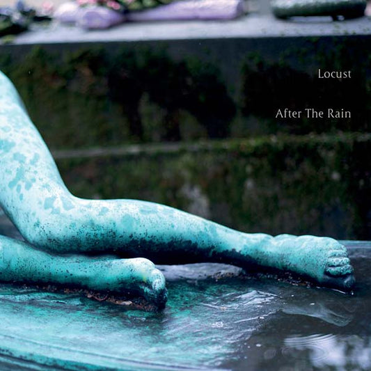 LOCUST | After the Rain - CD