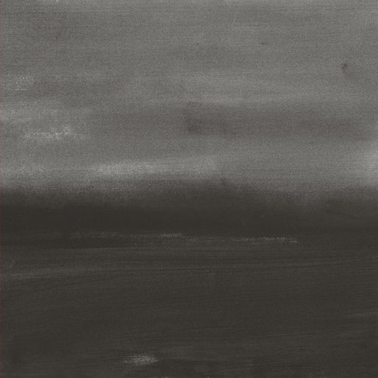 LOREN CONNORS & DAVID GRUBBS | Evening Air - Vinyl