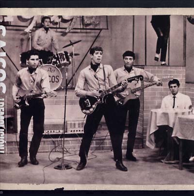 LOS SAICOS | Demolicion: The Complete Recordings - Vinyl