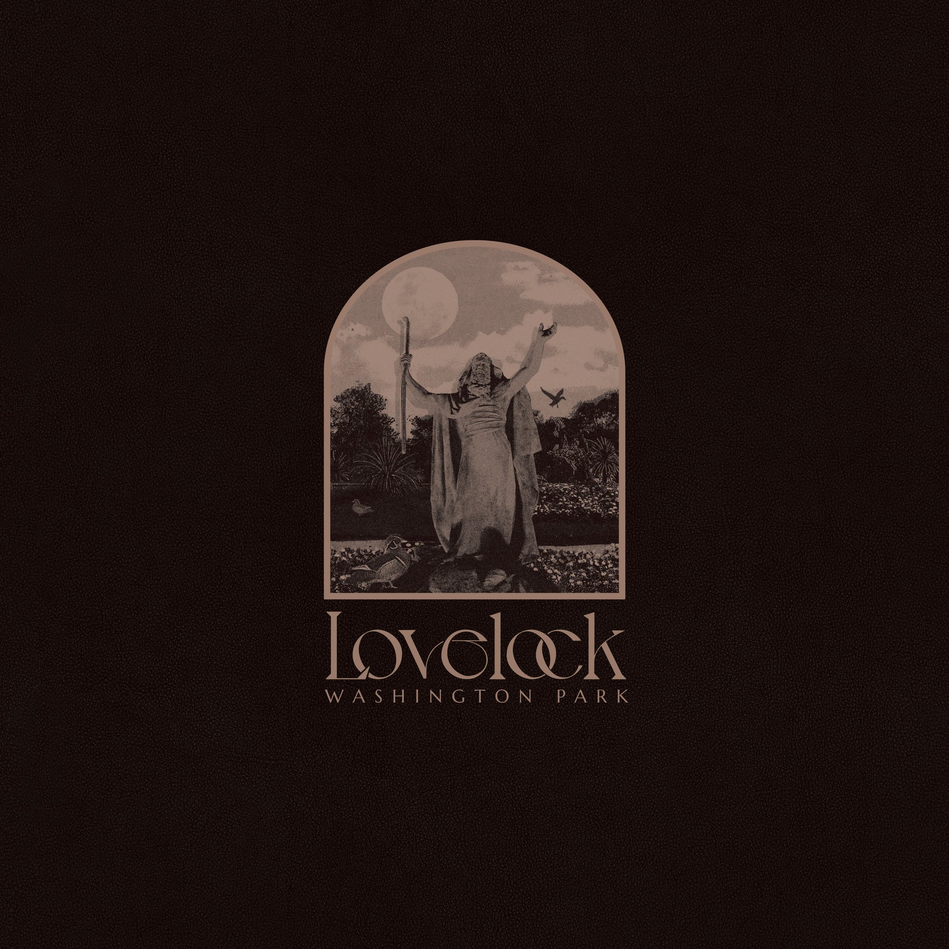 LOVELOCK | Washington Park - Vinyl