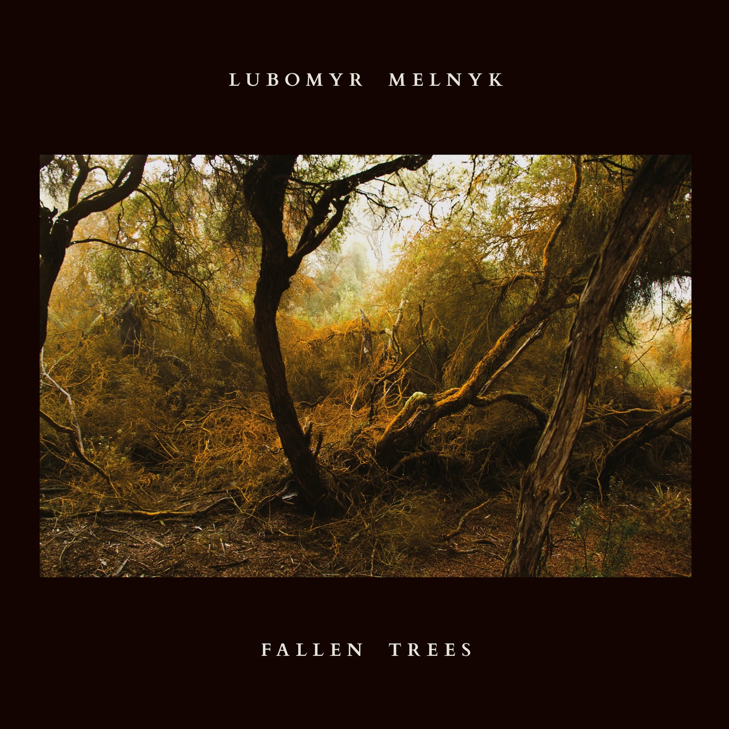 Lubomyr Melnyk | Fallen Trees - CD
