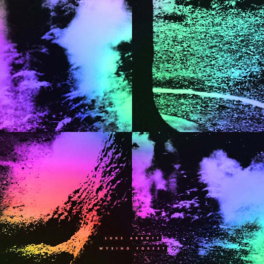 LUKE ABBOTT | Wysing Forest - Vinyl