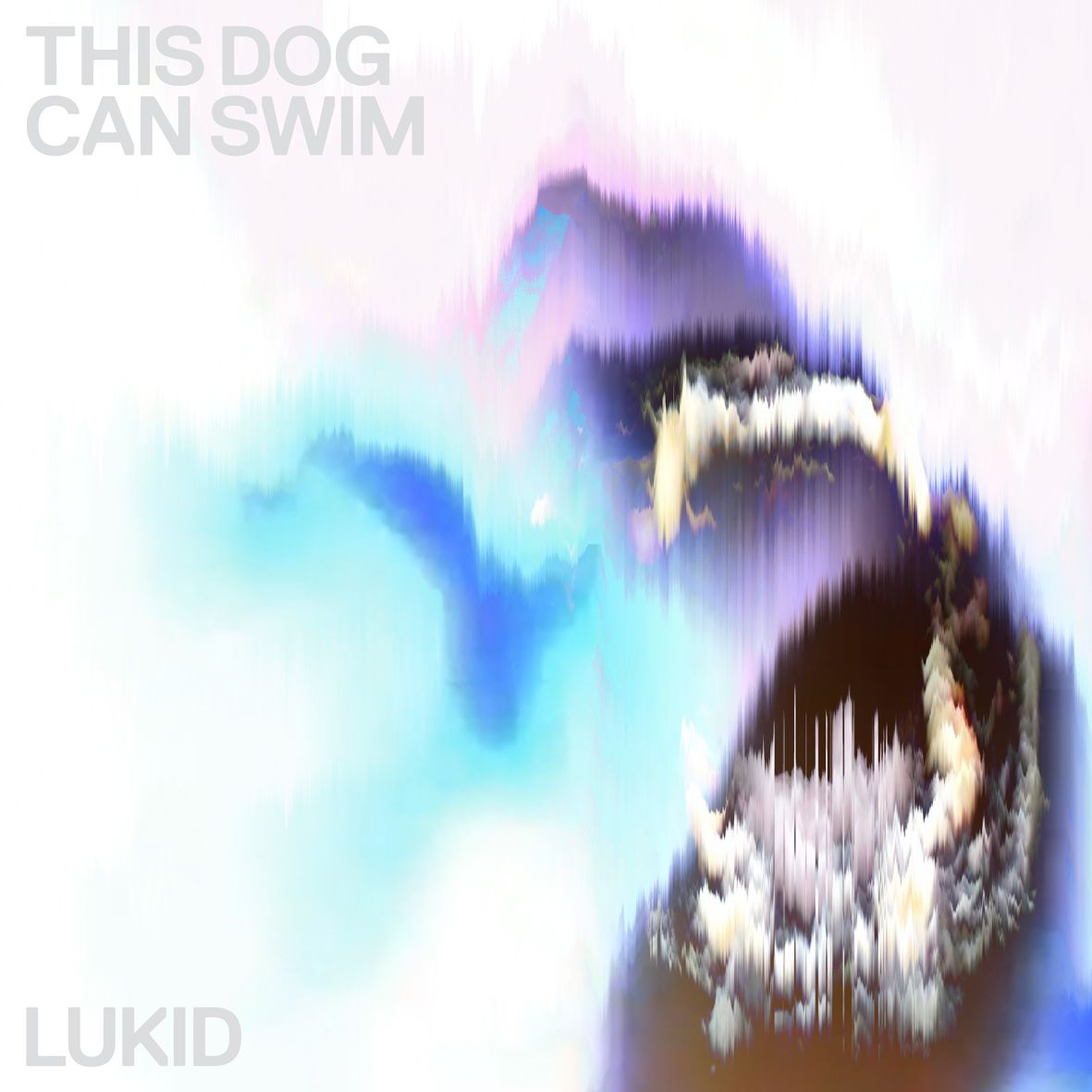 Lukid | This Dog Can Swim 12" - Vinyl